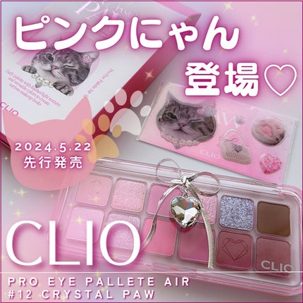 プロ アイ パレット エアー/CLIO/アイシャドウパレットを使ったクチコミ(1枚目)
