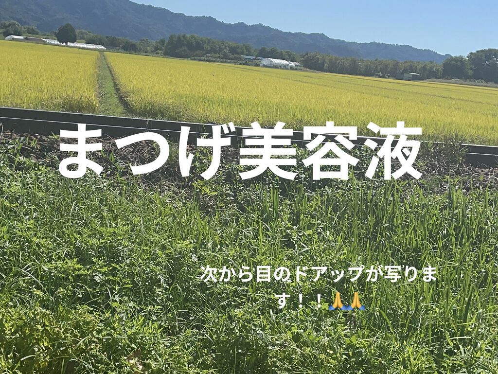 トゥルーアイラッシュセラム/mude./まつげ美容液を使ったクチコミ（1枚目）