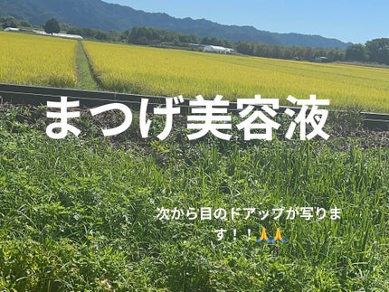 トゥルーアイラッシュセラム/mude/まつげ美容液を使ったクチコミ(1枚目)