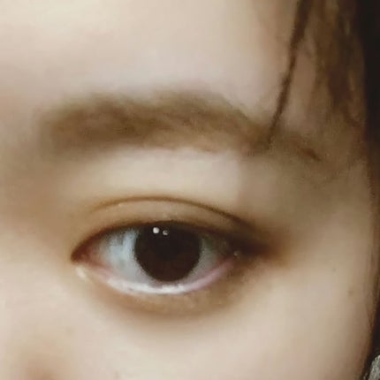 3Dプロデュースシャドウ/KATE/アイシャドウパレットを使ったクチコミ(4枚目)