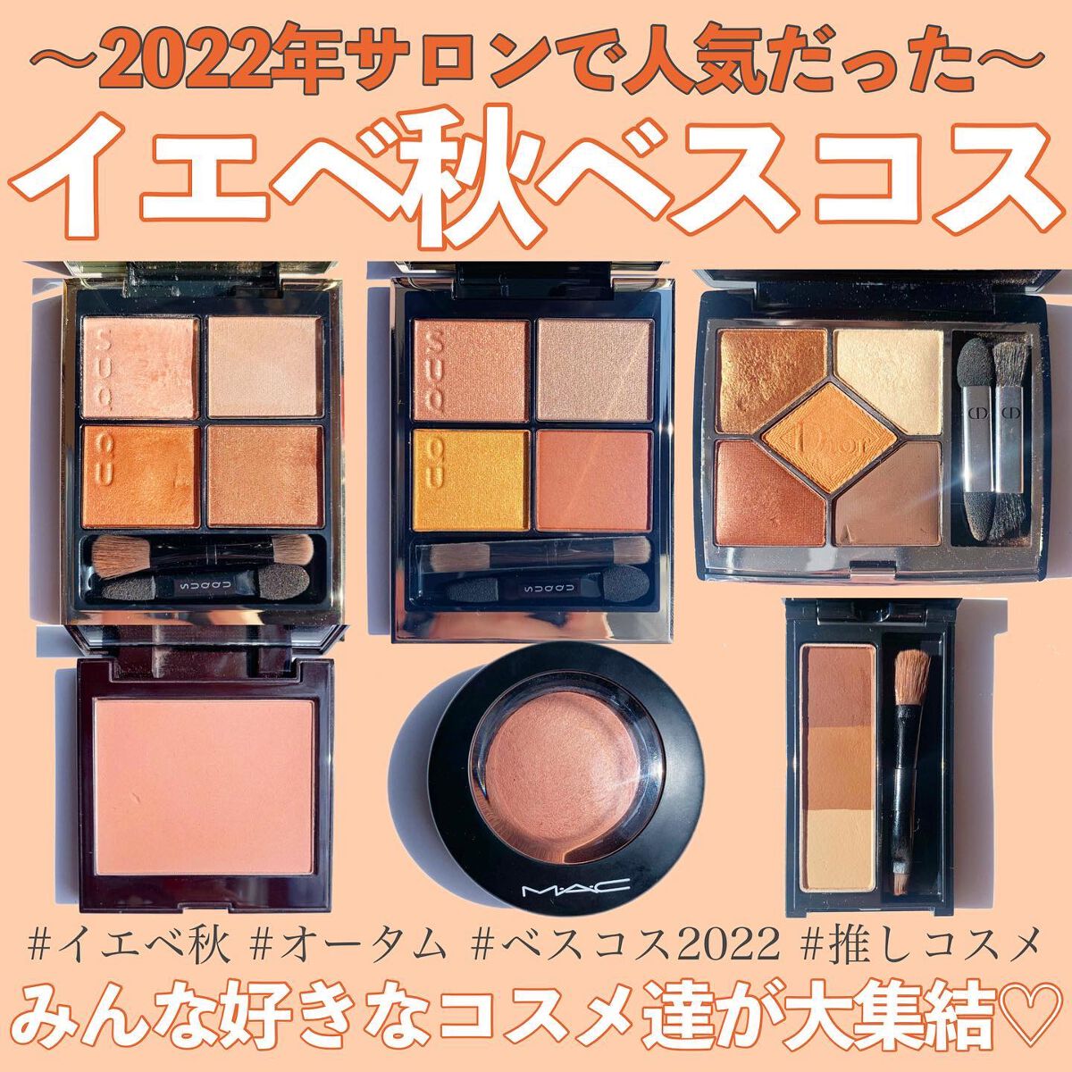 割引通販売 スック パウダーアイシャドウ白金 白銀 メイクアップ