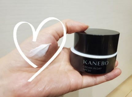 サンカットR パーフェクトUV スプレー/サンカット®/日焼け止めミスト・スプレーを使ったクチコミ(2枚目)