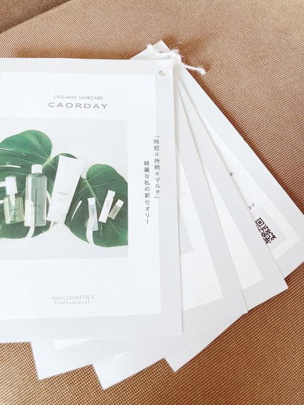 カオルデイ ビーワンシャンプー/ハル コスメティックス/市販シャンプーを使ったクチコミ(5枚目)