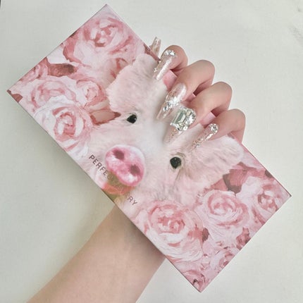 エクスプローラ12色 動物アイシャドウパレット/PERFECT DIARY/アイシャドウパレットを使ったクチコミ(3枚目)