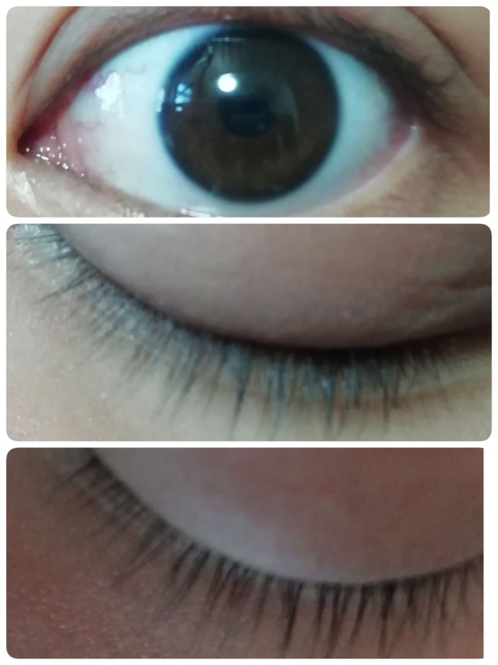 ローヤルゼリー配合 栄養ローション/DAISO/美容液を使ったクチコミ（3枚目）