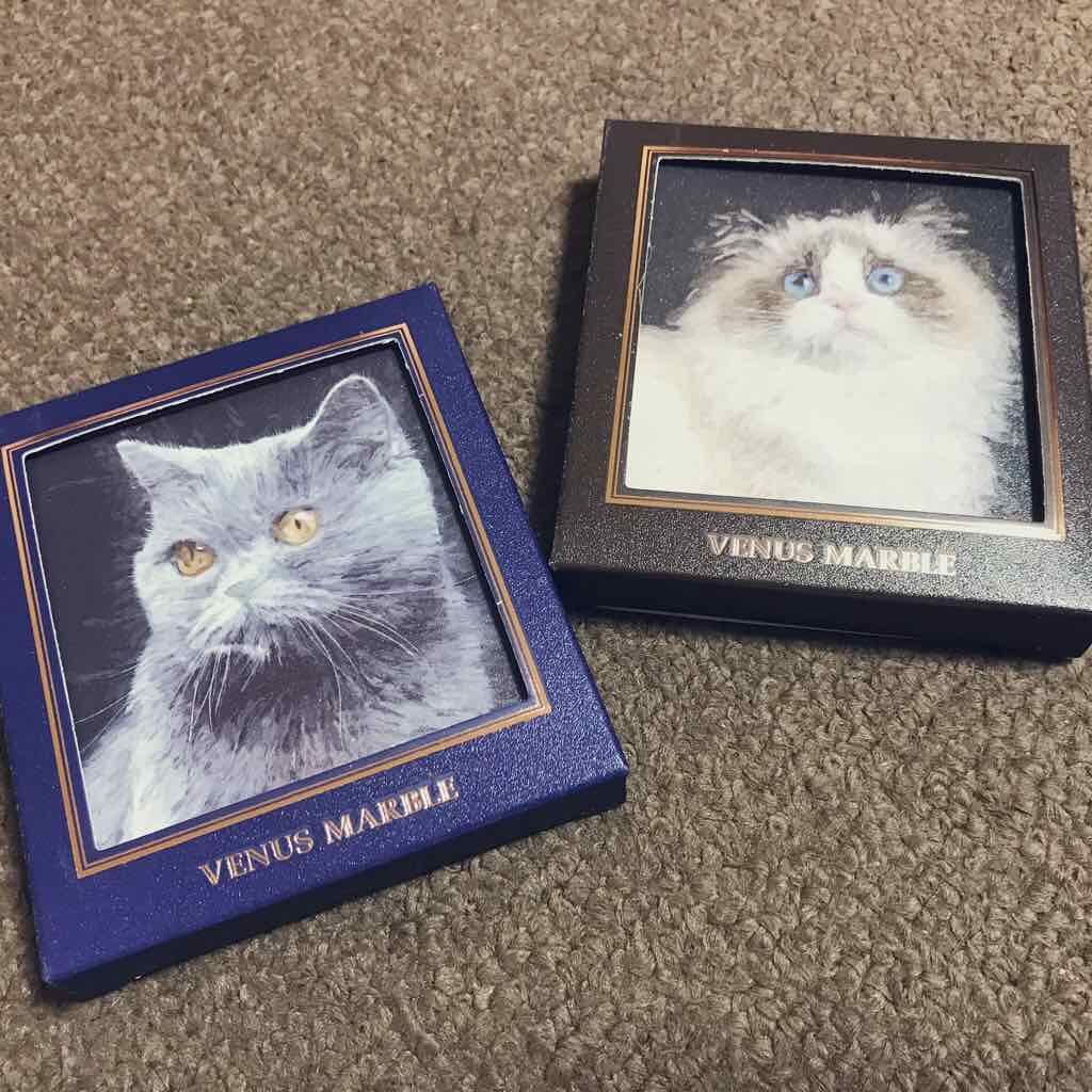 Venus Marble アイシャドウキャットシリーズ/Venus Marble/アイシャドウパレットを使ったクチコミ(1枚目)