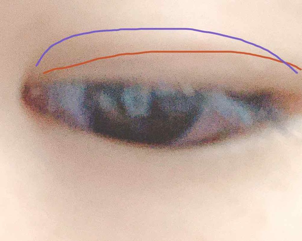 干物ちゃん ブルベ夏 on LIPS 「干物ちゃんですこの度皆さんに助けて欲しいことがあり投稿しました..」(3枚目)