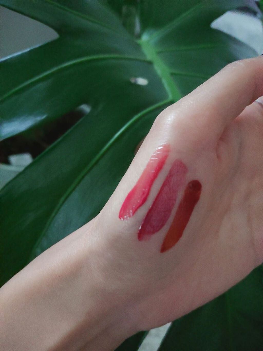 ウォータリーティントリップ/CEZANNE/リップティントを使ったクチコミ(3枚目)