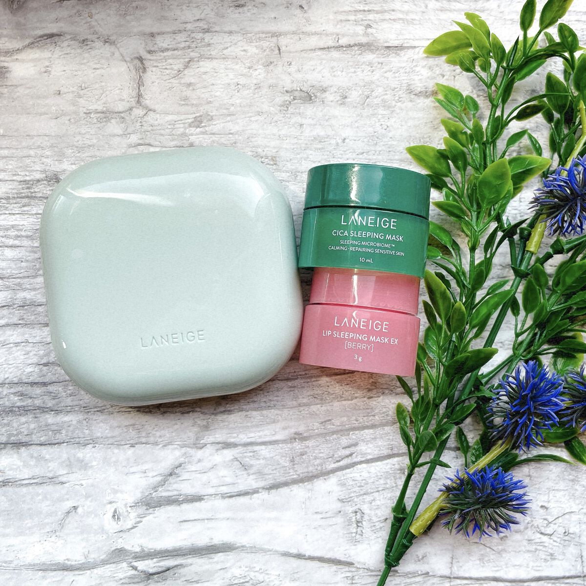 リップスリーピングマスク/LANEIGE/リップバームを使ったクチコミ（1枚目）