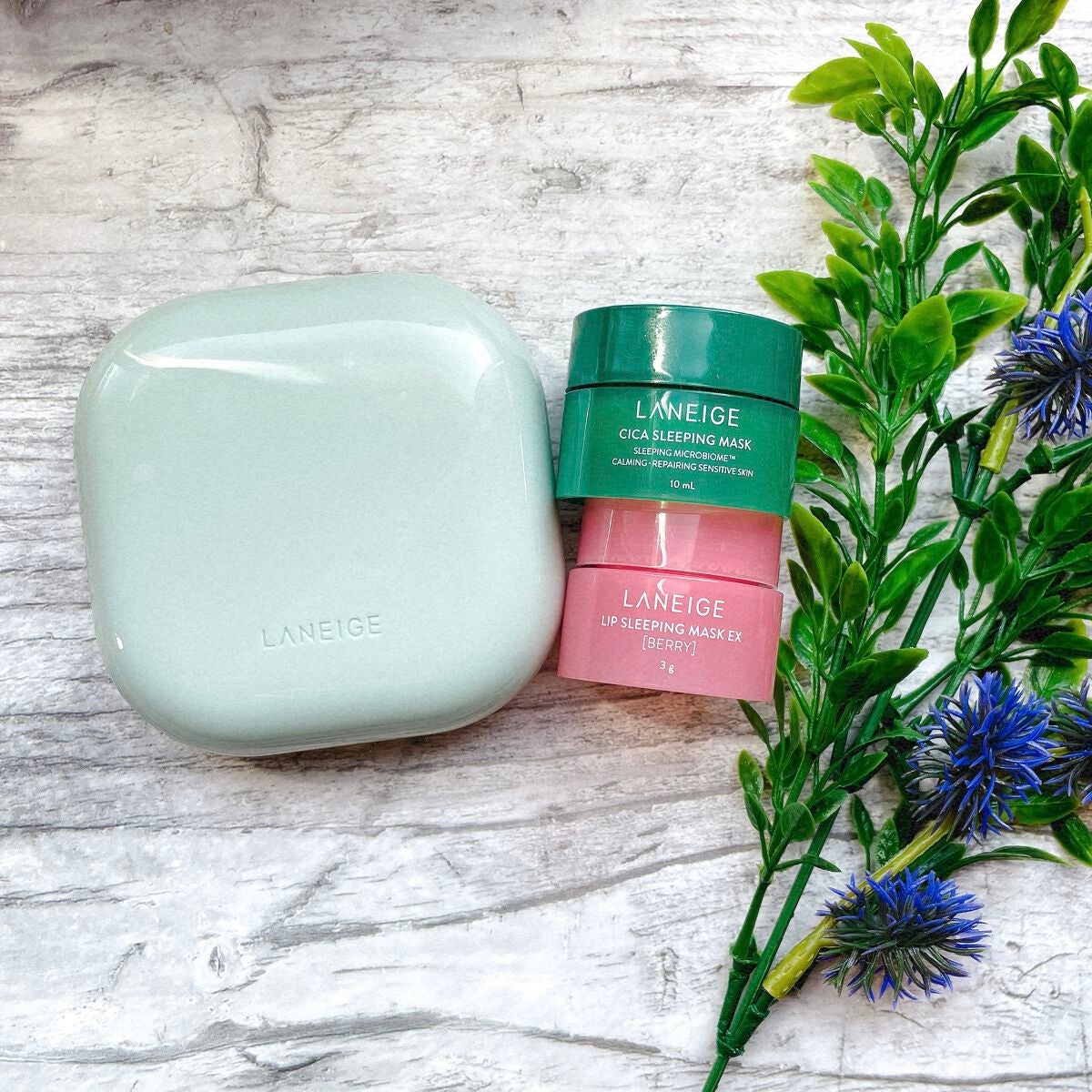 リップスリーピングマスク/LANEIGE/リップバームを使ったクチコミ(1枚目)