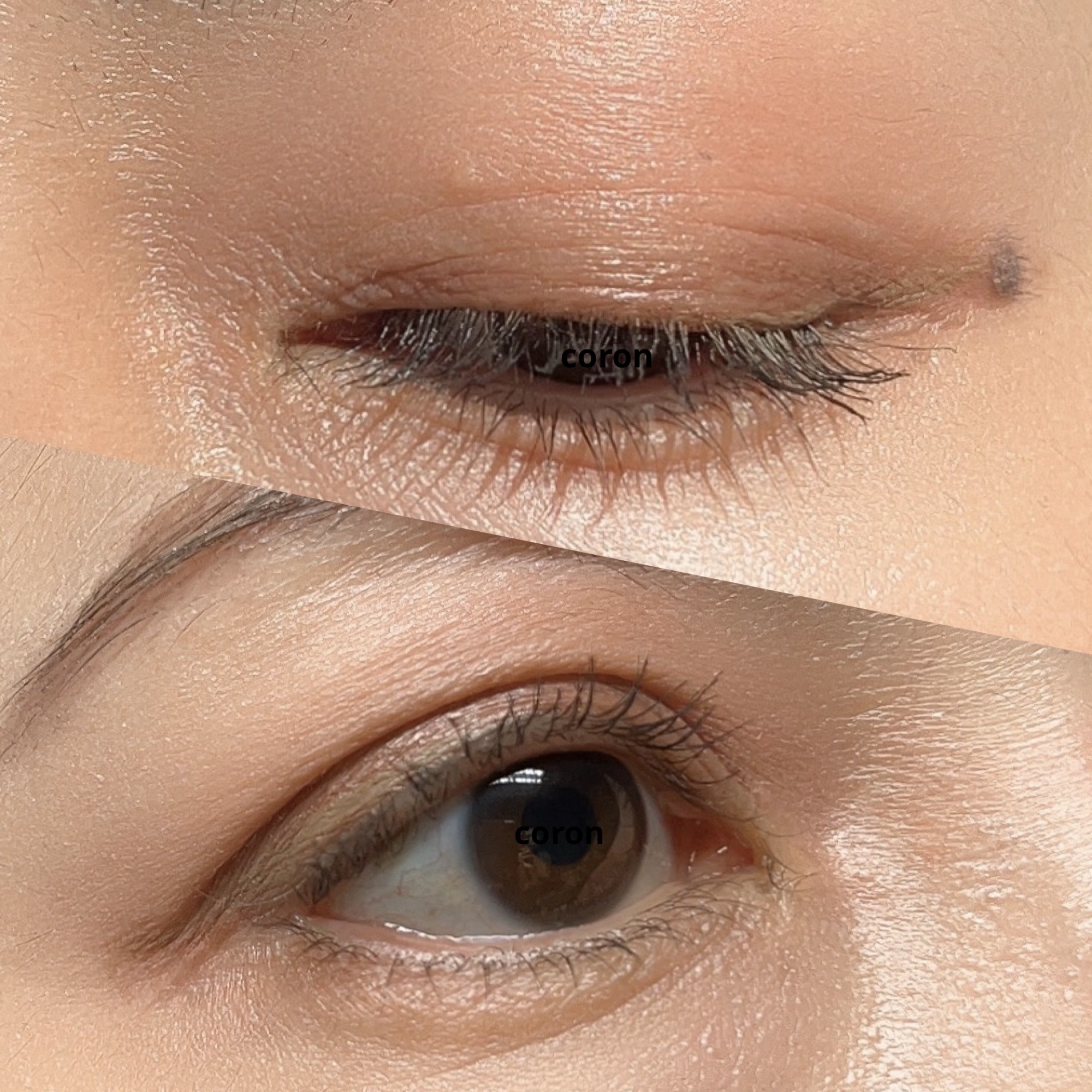 セルヴォーク ヴォランタリー アイズ/Celvoke/単色アイシャドウを使ったクチコミ（2枚目）