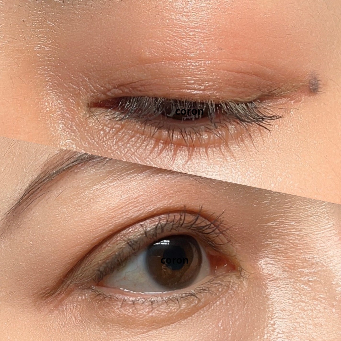 ã»ã«ãŽã©ãŒã¯ ãŽã©ã©ã³ã¿ãªãŒ ã¢ã€ãº/Celvoke/åè²ã¢ã€ã·ã£ããŠã䜿ã£ãã¯ãã³ãïŒ2æç®ïŒ