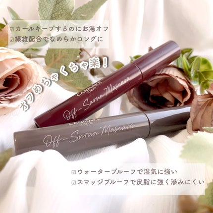 シルキーリキッドアイライナーWP/D-UP/リキッドアイライナーを使ったクチコミ(4枚目)