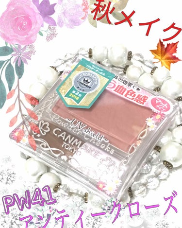 🍁秋メイク🍁に合わせてチークを買い替えました😊

CANMAKE
パウダーチーク
PW41 アンティークローズ🥀

いつもはCANMAKEのクリームチークのCL08の赤いの使ってたんですが、秋メイクにチ