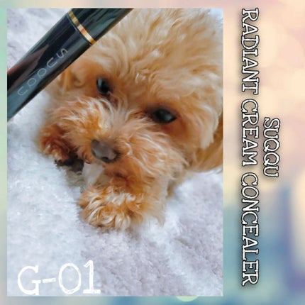 ラディアント クリーム コンシーラー/SUQQU/リキッドコンシーラーを使ったクチコミ(1枚目)