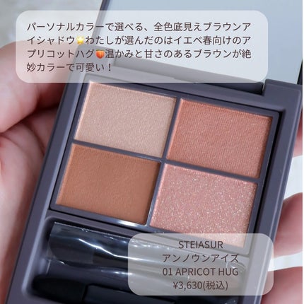 アンノウンアイズ/STEIASUR(ステイアシュール)/アイシャドウパレットを使ったクチコミ(2枚目)