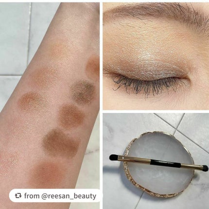 エクスプローラ12色 動物アイシャドウパレット/PERFECT DIARY/アイシャドウパレットを使ったクチコミ(4枚目)