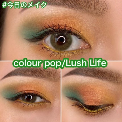 ラッシュライフ/ColourPop/アイシャドウパレットを使ったクチコミ(1枚目)