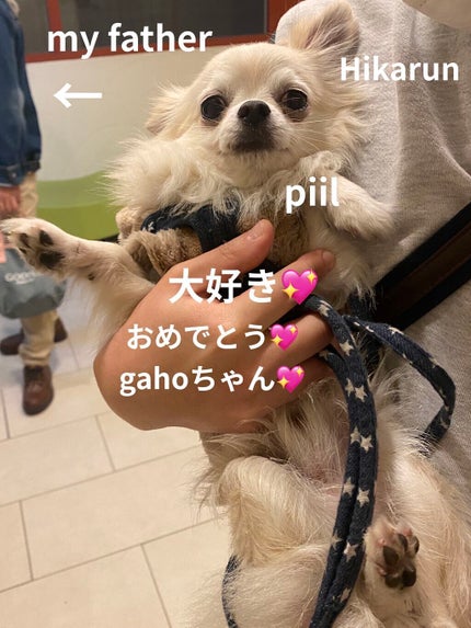 pa ネイルカラー/pa nail collective/マニキュアを使ったクチコミ(7枚目)