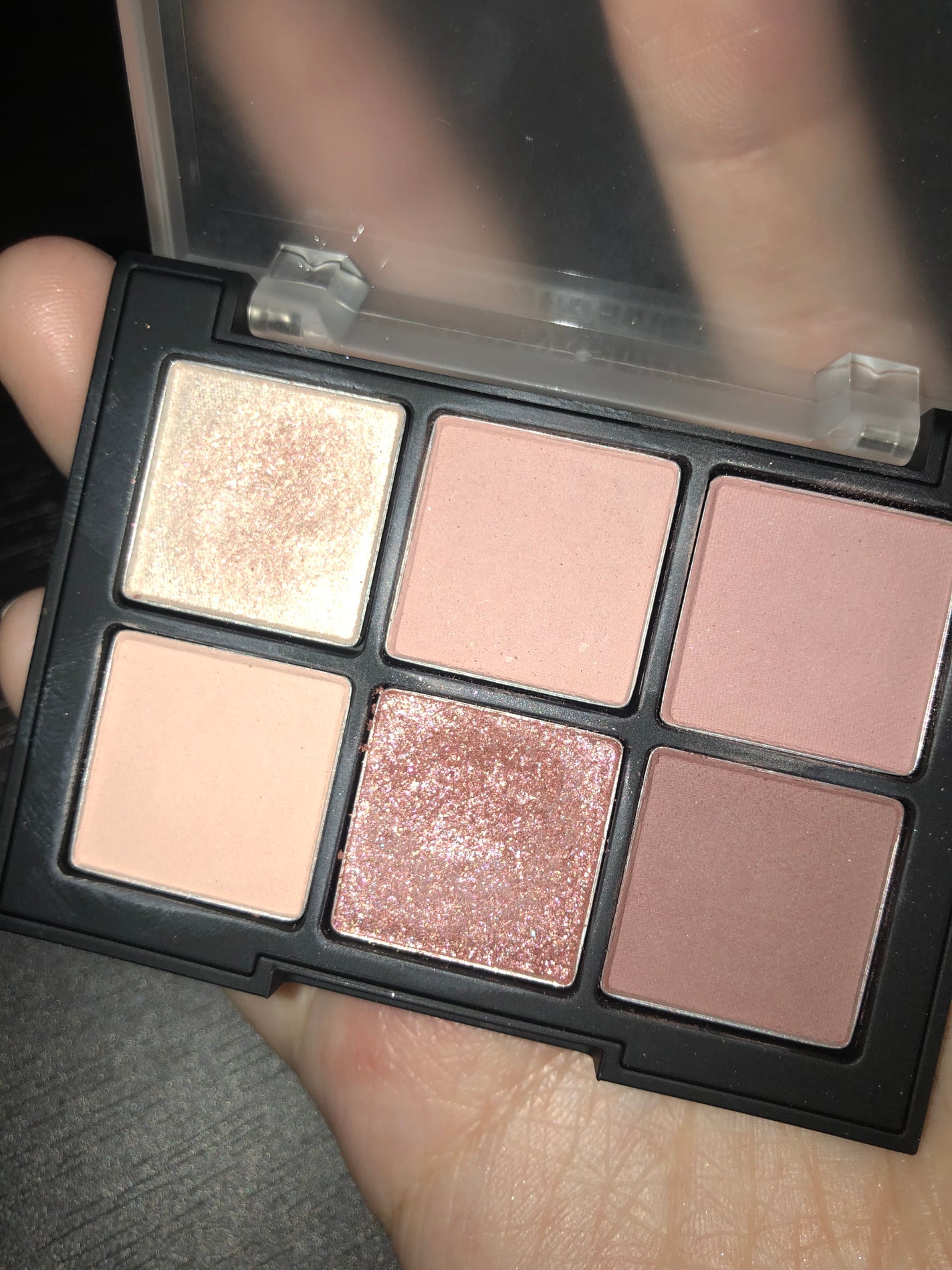 ブラーフィニシュシャドウパレット/Dinto/アイシャドウパレットを使ったクチコミ(2枚目)