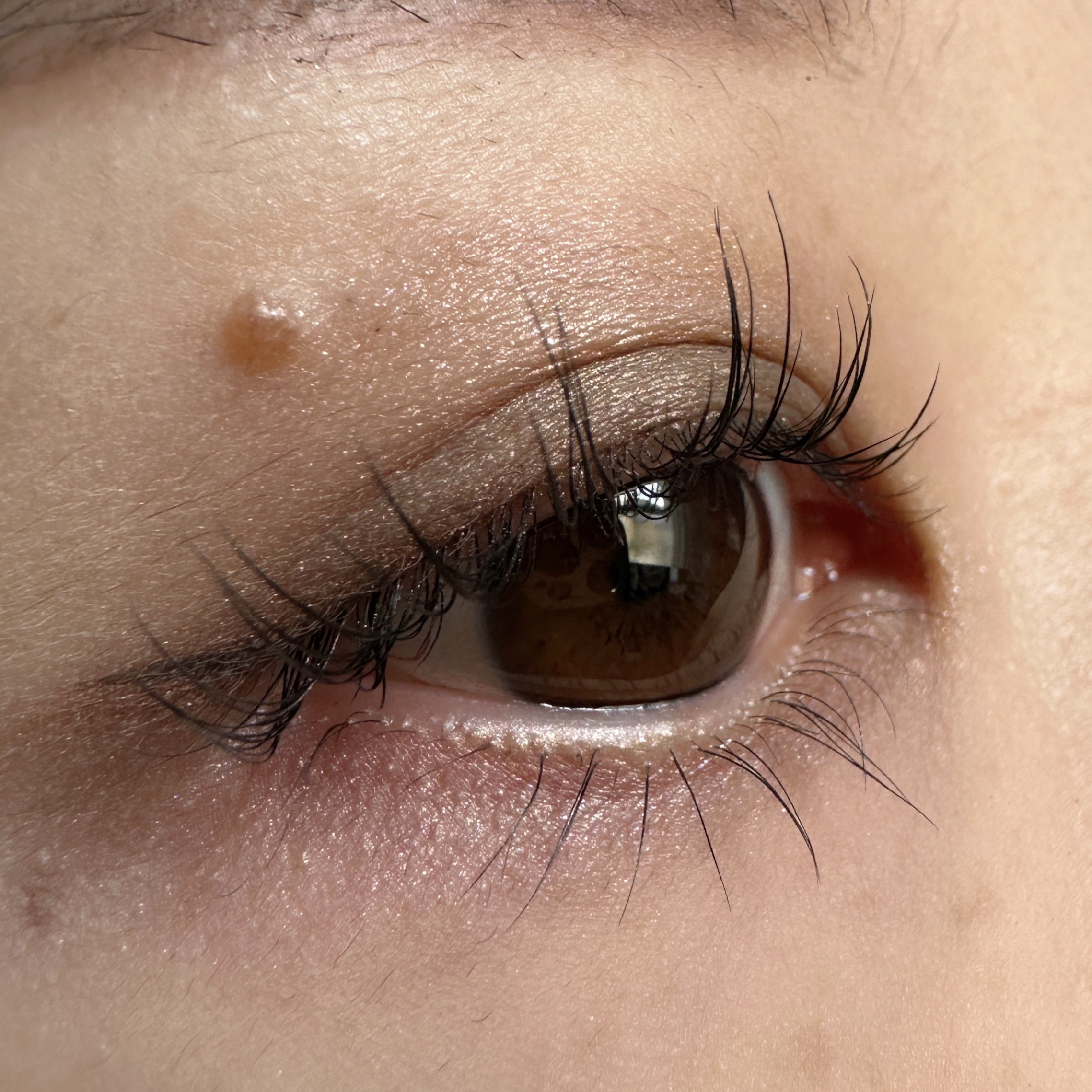 アイラッシュブラックコーティング/GLAMORIZE/マスカラを使ったクチコミ（2枚目）
