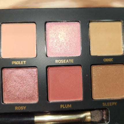 エクスプローラ12色 動物アイシャドウパレット/PERFECT DIARY/アイシャドウパレットを使ったクチコミ(4枚目)