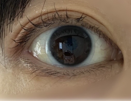 エテュセ アイエディション（マスカラベース）LE/ettusais/マスカラ下地を使ったクチコミ（2枚目）