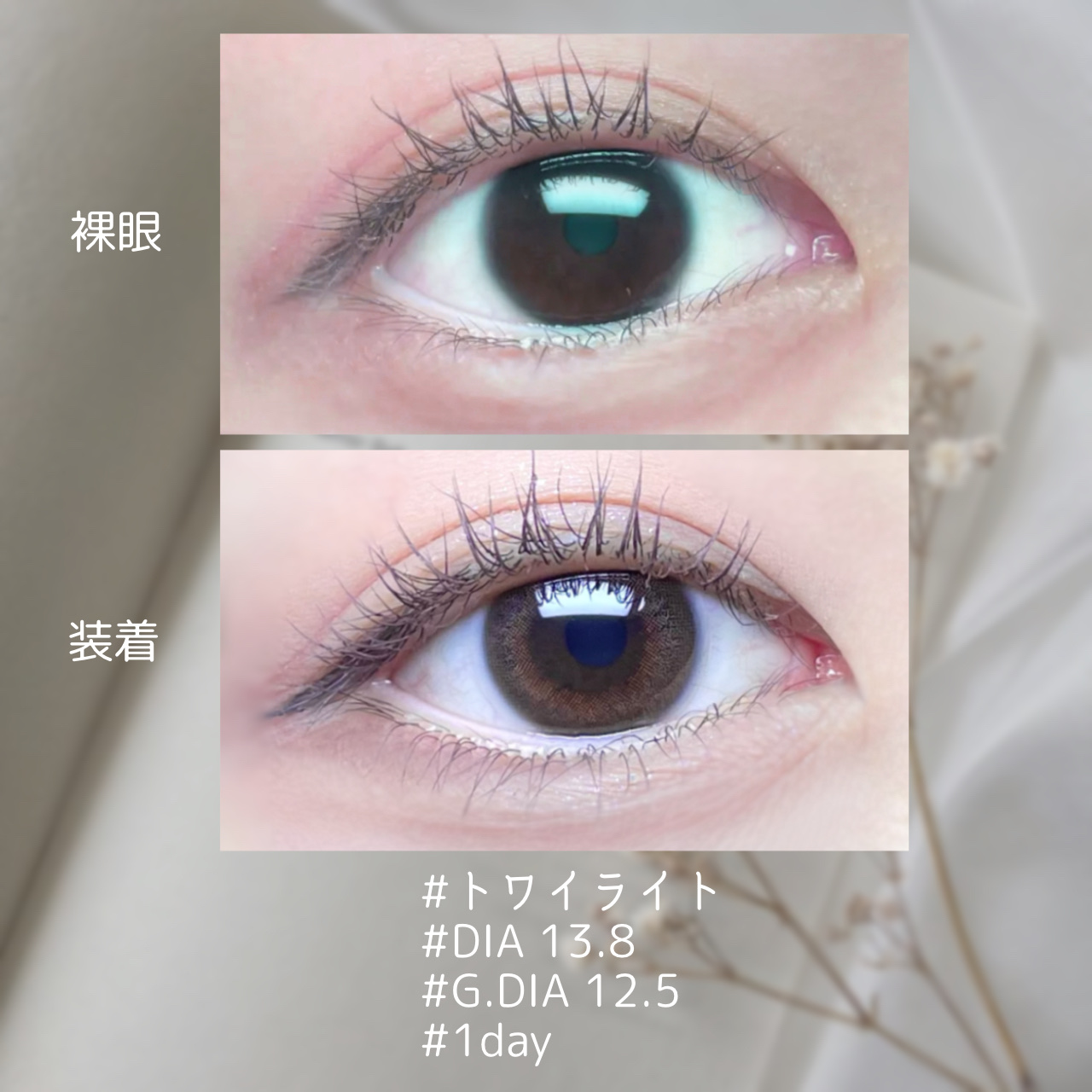 EYECICLE 1day/EYECICLE/カラーコンタクトレンズを使ったクチコミ（2枚目）