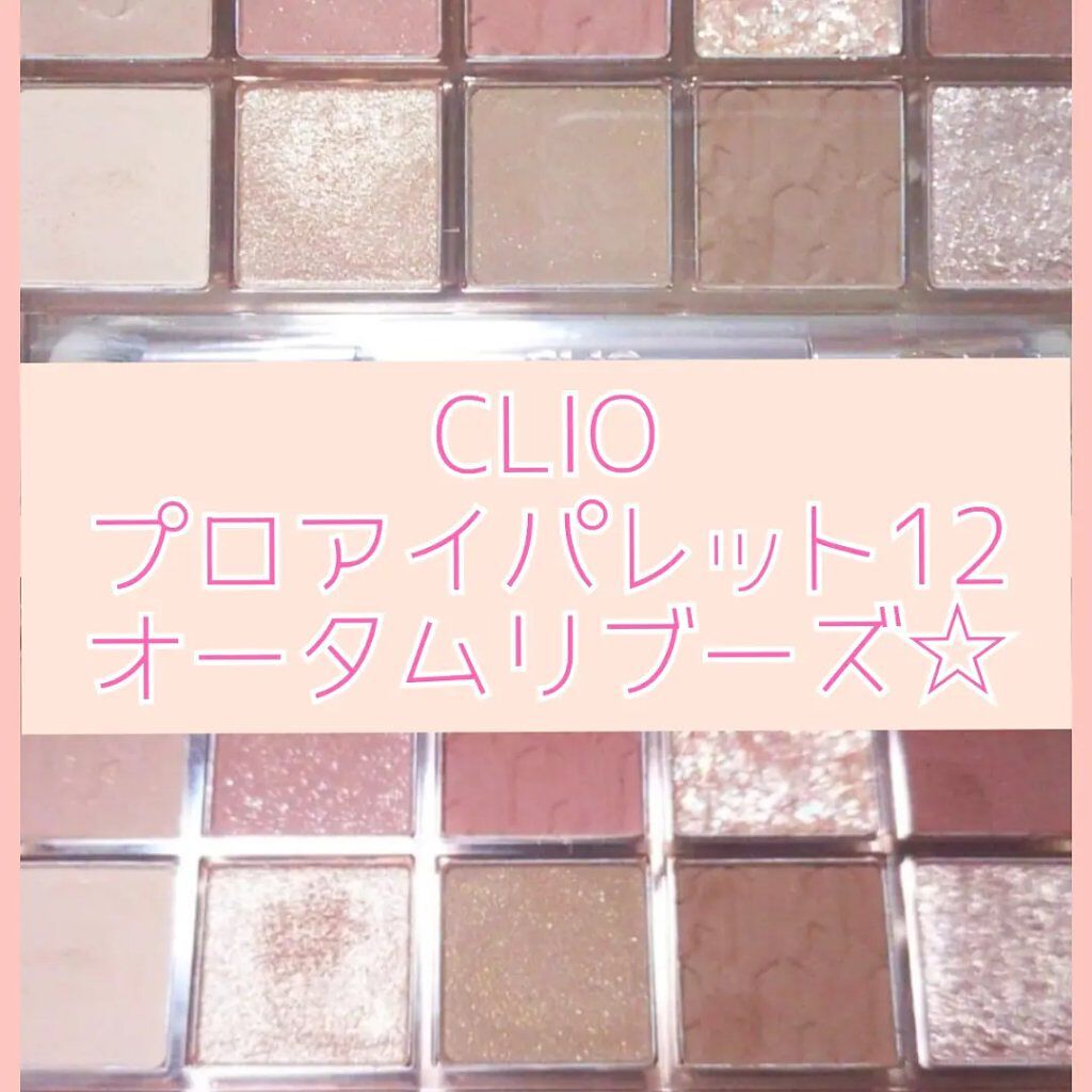 プロ アイ パレット/CLIO/アイシャドウパレットを使ったクチコミ（1枚目）