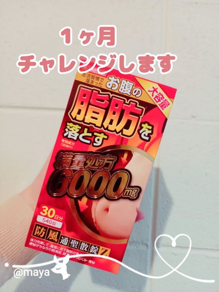 防風通聖散料エキス錠(創至聖)(医薬品)/ 北日本科学/その他を使ったクチコミ(1枚目)