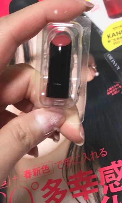 ネンマクフェイク ルージュ/Visée/口紅を使ったクチコミ(4枚目)