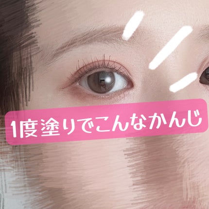 スカルプD ボーテ ピュアフリーマスカラ(ロング)/アンファー(スカルプD)/マスカラを使ったクチコミ(2枚目)