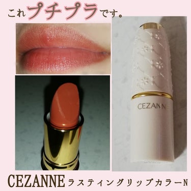 ラスティング リップカラーN 105 ブラウン系/CEZANNE/口紅を使ったクチコミ（1枚目）