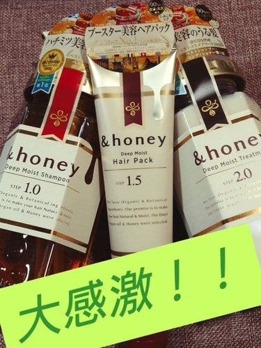 ディープモイスト シャンプー1.0／ヘアトリートメント2.0/&honey/シャンプー・コンディショナーを使ったクチコミ（1枚目）