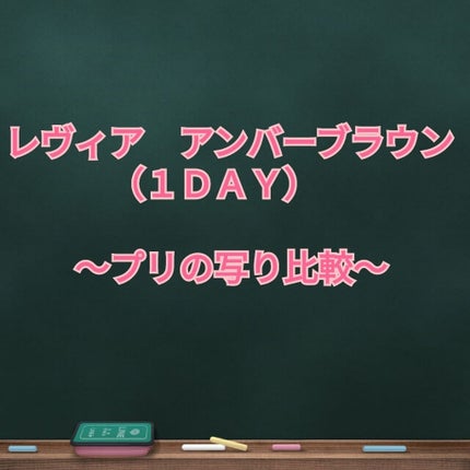ReVIA 1day/ReVIA/ワンデー(1DAY)カラコンを使ったクチコミ(1枚目)