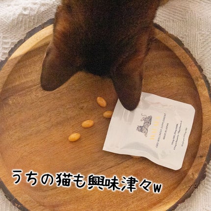 CBD ウェルネスサプリメント/WALALA/健康サプリメントを使ったクチコミ(4枚目)