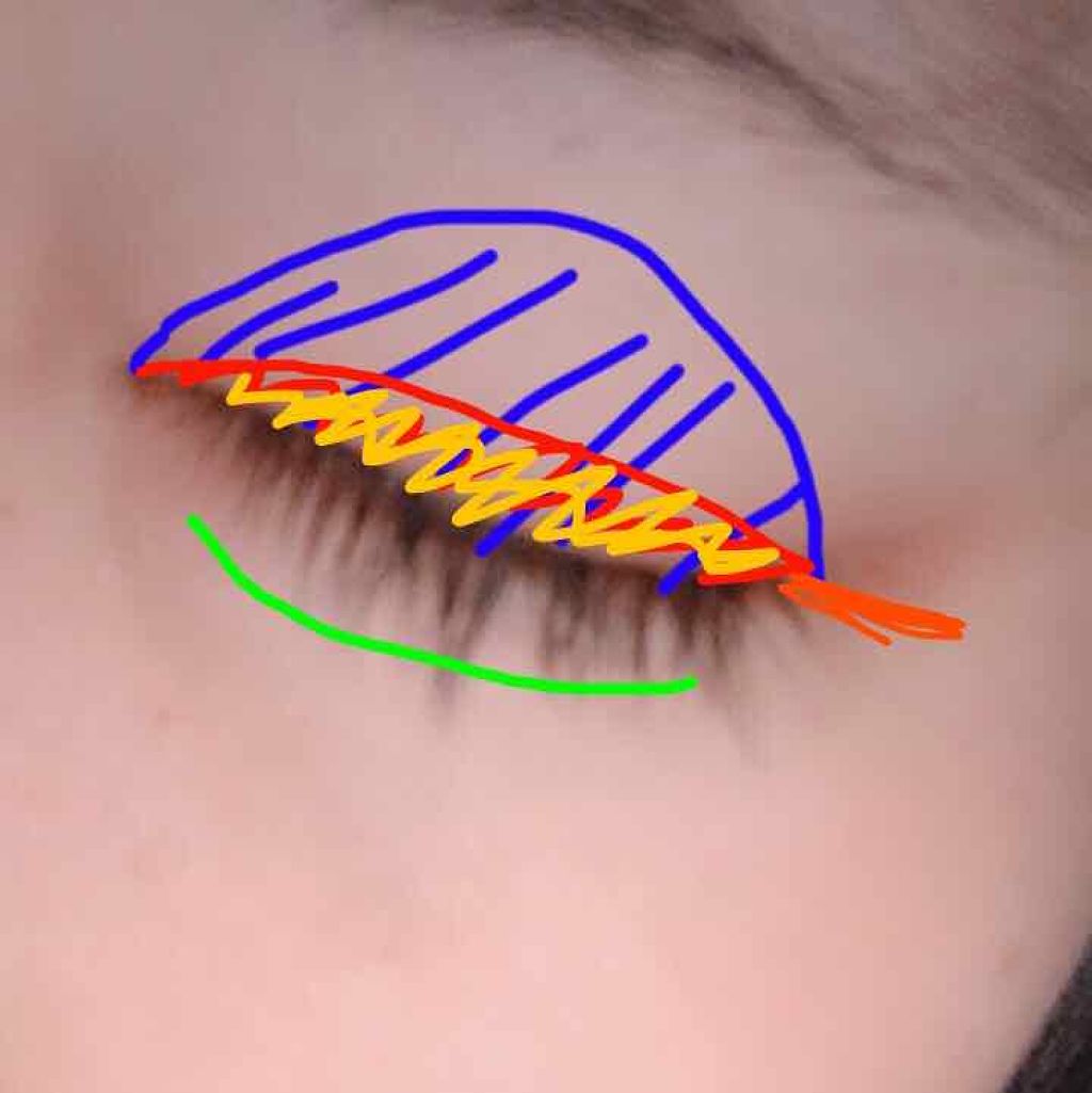 パーフェクトマルチアイズ/キャンメイク/アイシャドウパレットを使ったクチコミ(2枚目)