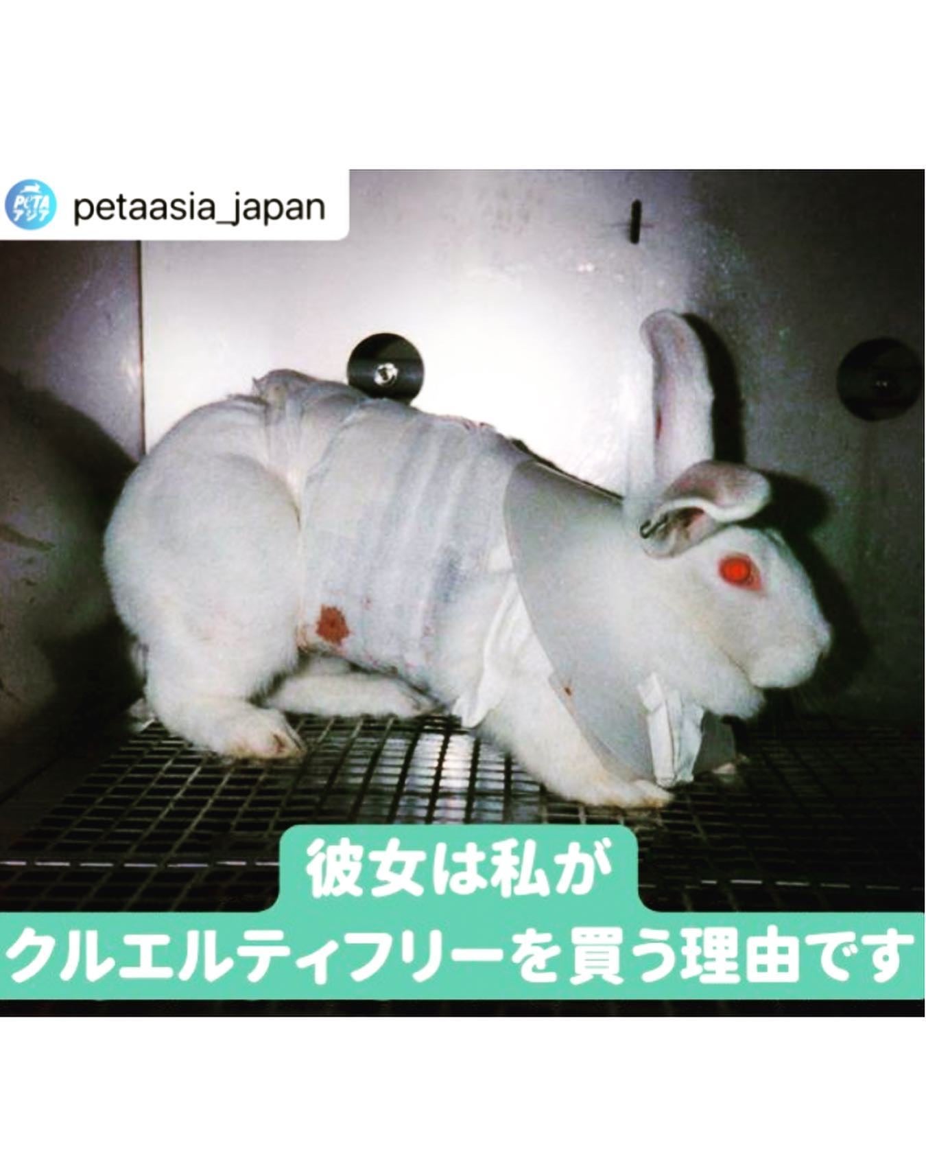 Asako on LIPS ãðveganð±ã€ãã€ããªãããã£ã³ã@laka.officia..ãïŒ4æç®ïŒ