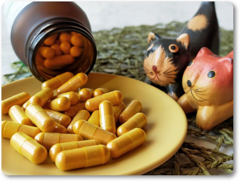 ノンアルツ Bee/山田養蜂場（健康食品）/健康サプリメントを使ったクチコミ（2枚目）