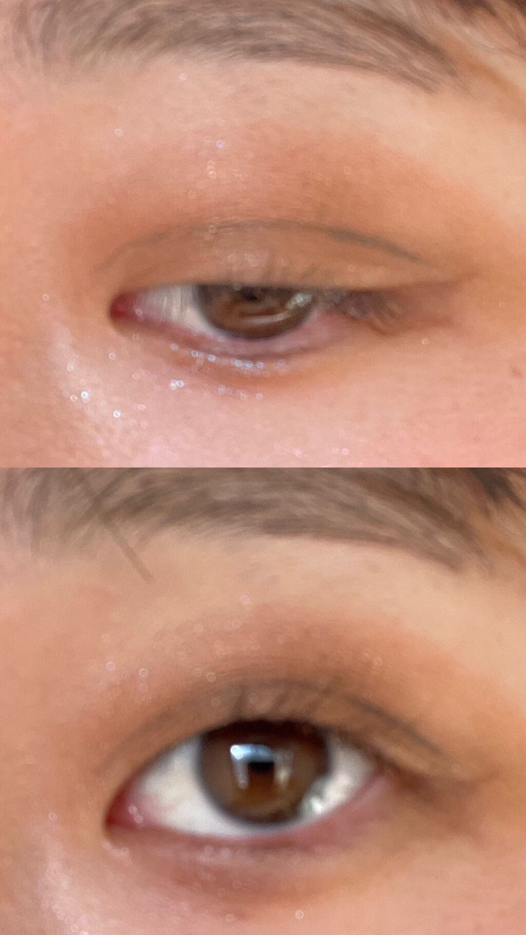 スイートペコエディション アイシャドウパレット/HOLIKA HOLIKA/アイシャドウパレットを使ったクチコミ(5枚目)