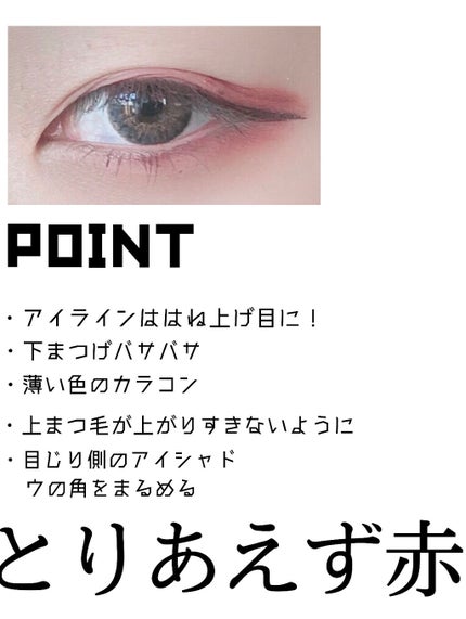 大英博物館 エジプトシリーズ アイシャドウパレット/ZEESEA/アイシャドウパレットを使ったクチコミ(3枚目)