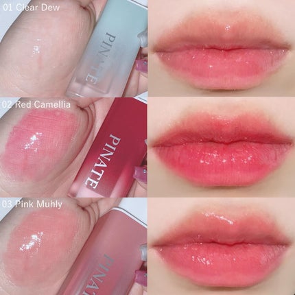 ナチュラルブルームリップオイルセラム 3色セット/PINATE/リップグロスを使ったクチコミ(2枚目)