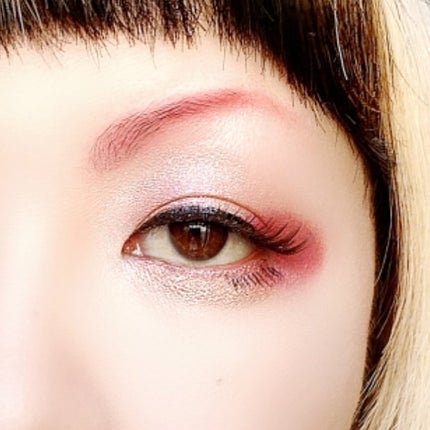 エクスプローラ12色 動物アイシャドウパレット/PERFECT DIARY/アイシャドウパレットを使ったクチコミ(5枚目)