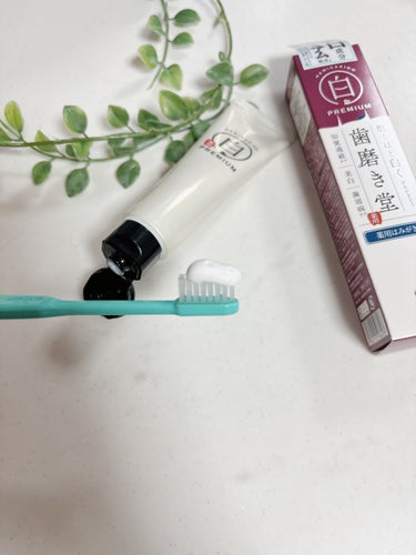 歯磨き堂 薬用ホワイトニングペースト プレミアム 60g/歯磨き堂/歯磨き粉の画像