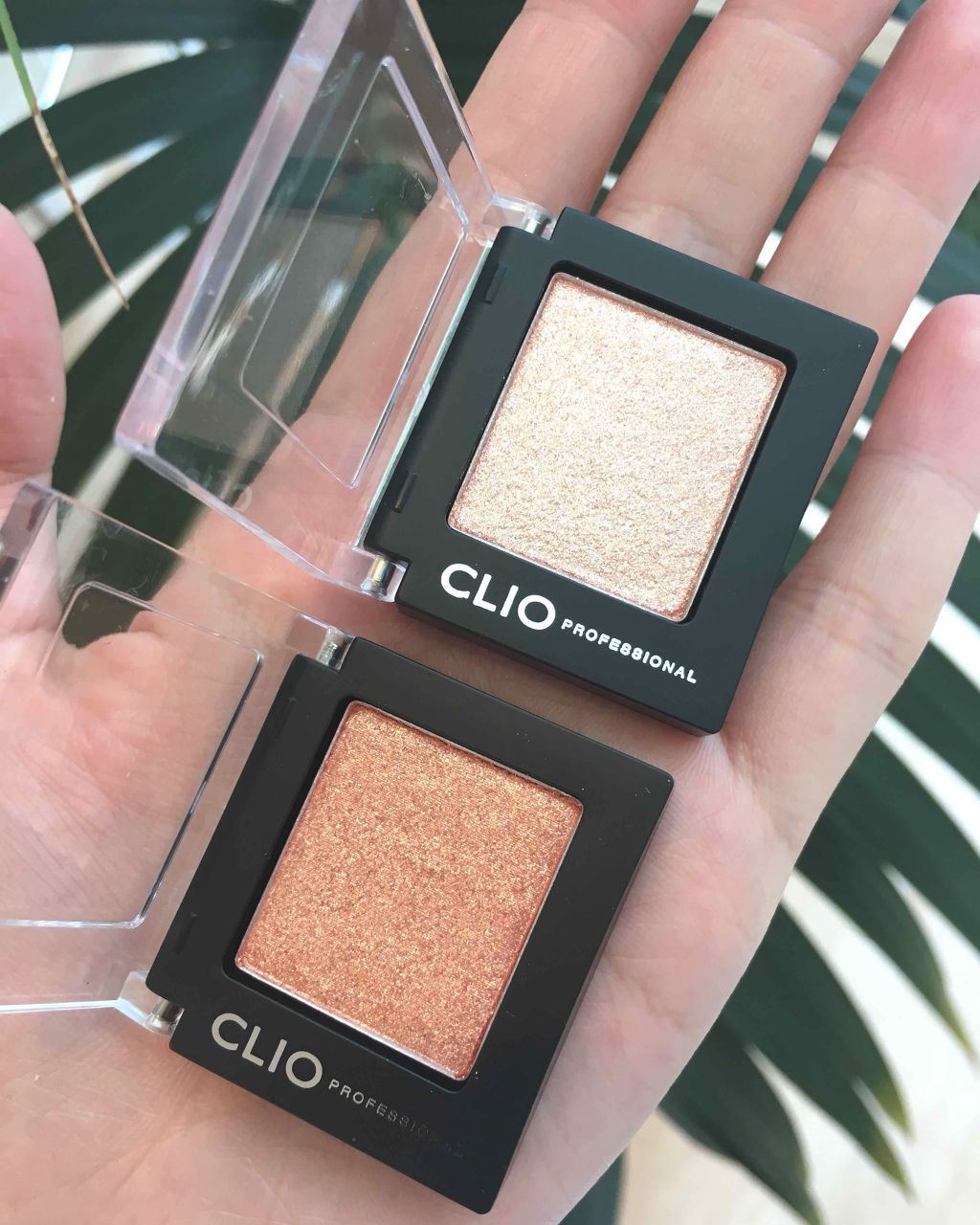 プロ シングル シャドウ/CLIO/単色アイシャドウを使ったクチコミ（1枚目）