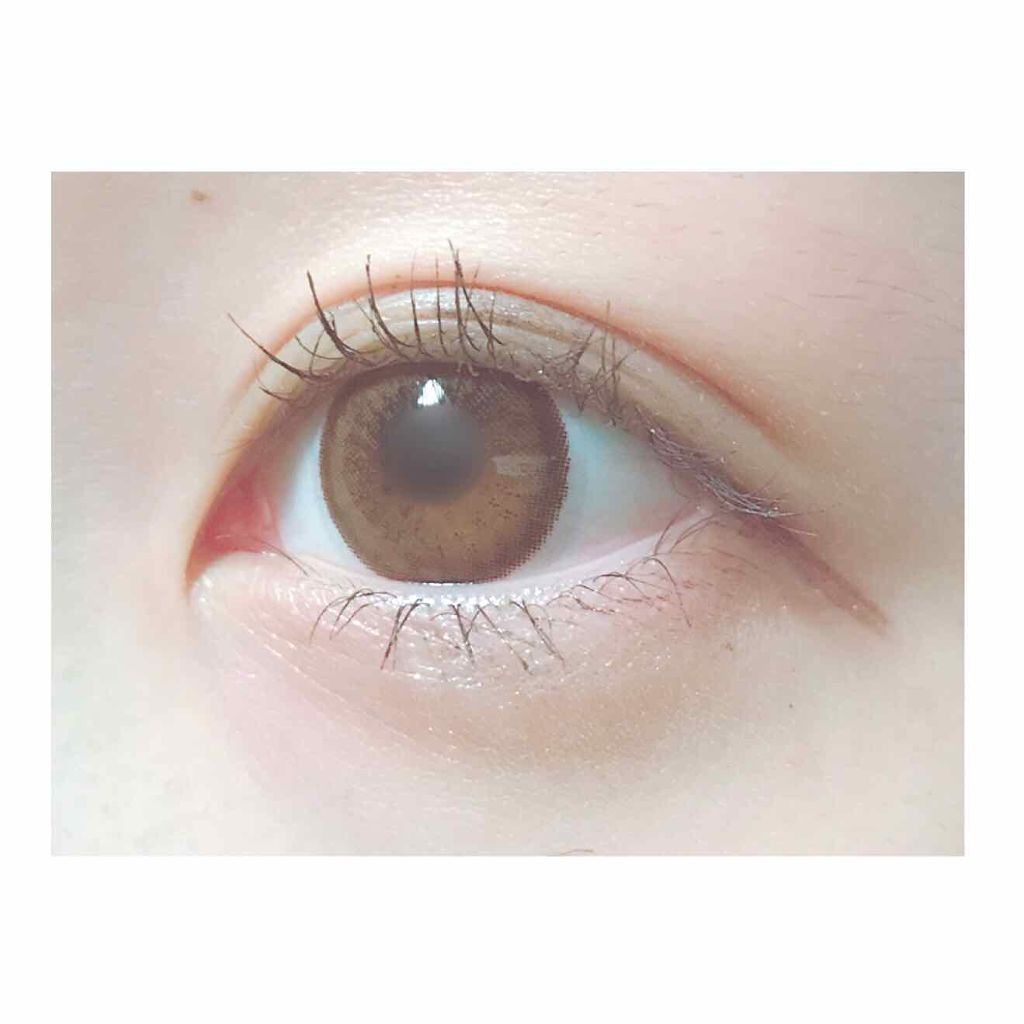 Wアイブロウ ペンシル＆パウダー/media/パウダーアイブロウを使ったクチコミ（1枚目）