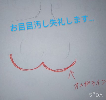 を使ったクチコミ(2枚目)