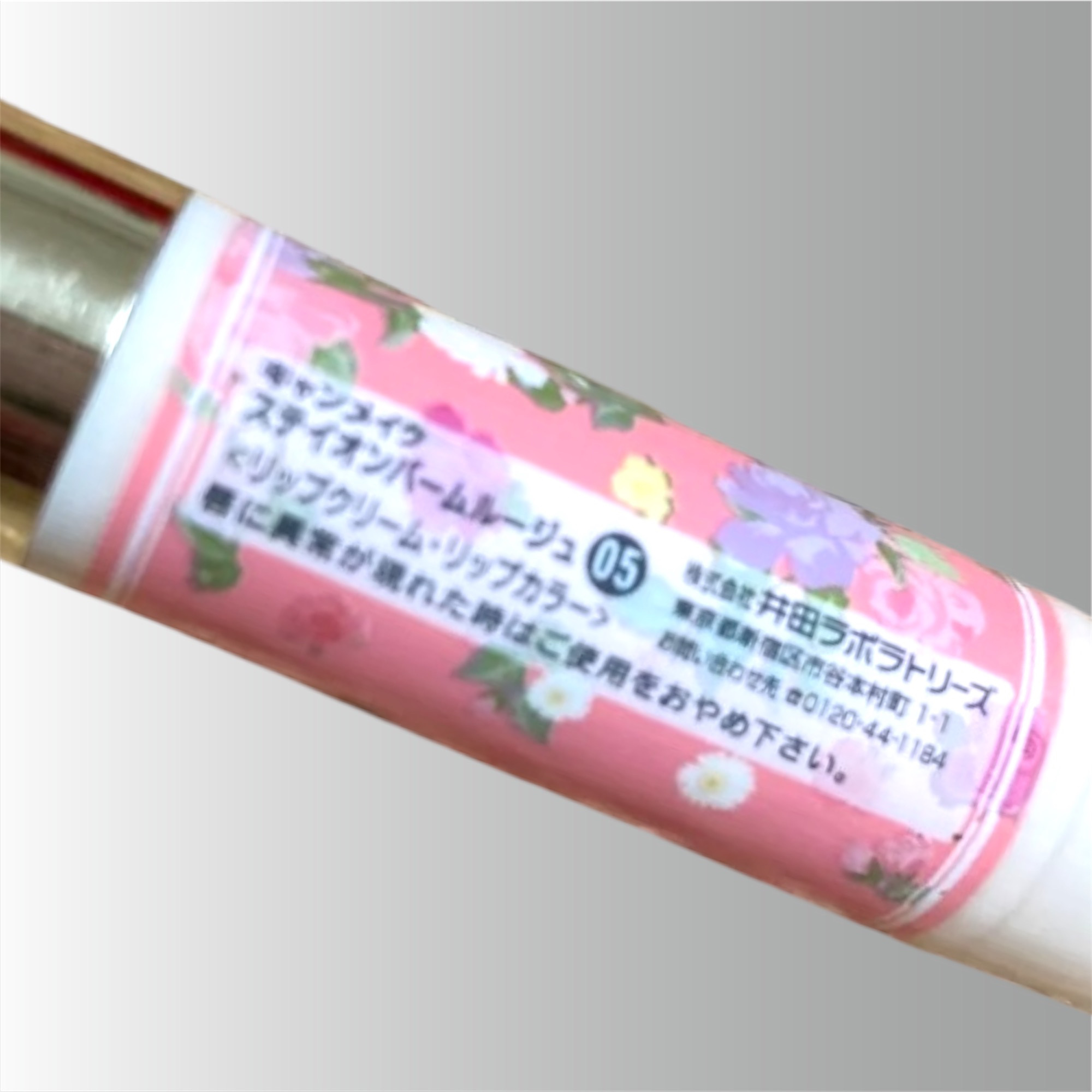 ステイオンバームルージュ（ティントタイプ）/キャンメイク/リップティントを使ったクチコミ（3枚目）