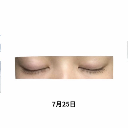 ラッシュジェリードロップ EX/MAJOLICA MAJORCA/まつげ美容液を使ったクチコミ(3枚目)