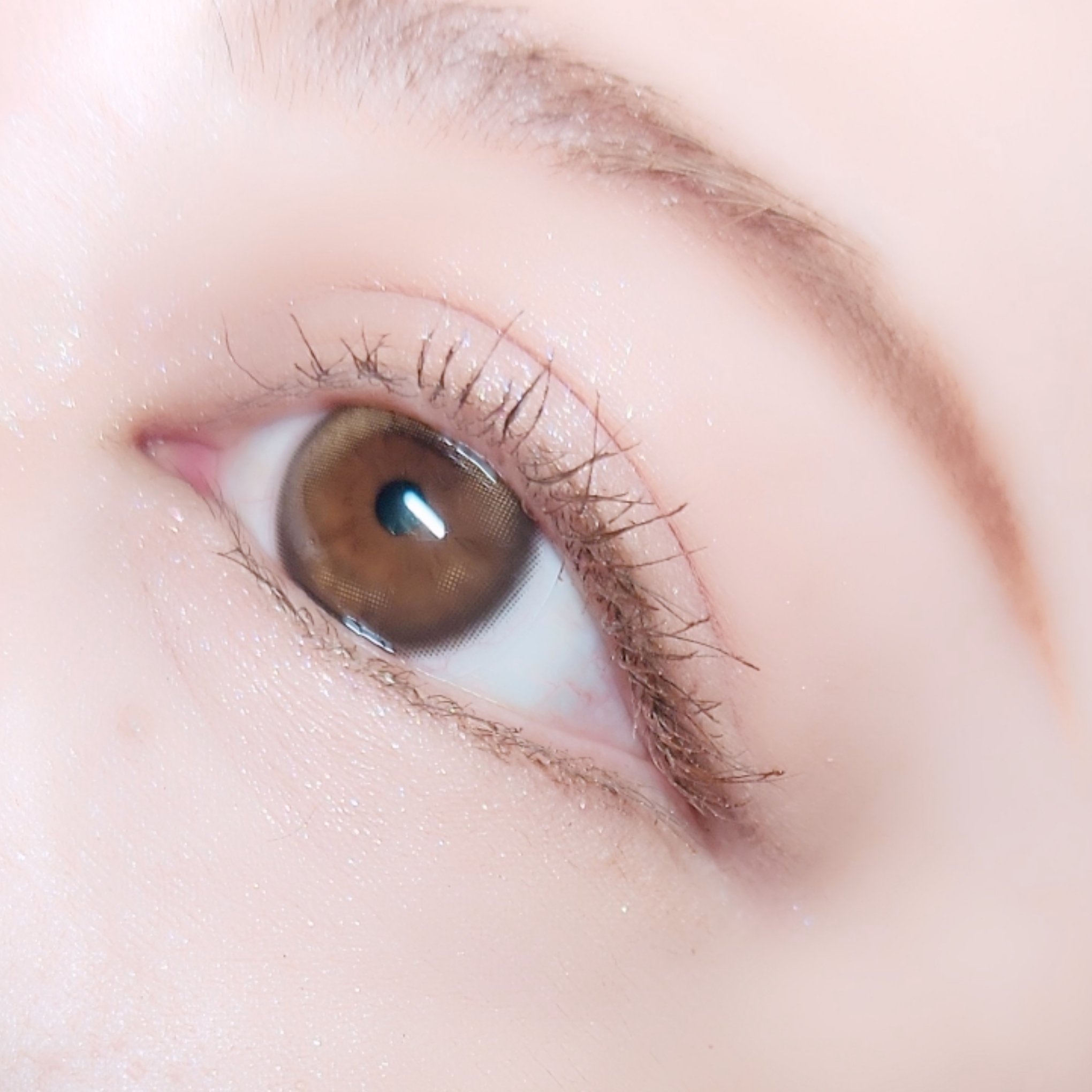 リュクス チーク & ハイライト パレット ローズグロウ/BOBBI BROWN/パウダーハイライトを使ったクチコミ（3枚目）